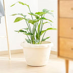 Front Porch Planters 3-Piece Flower Pot Thickened Resin Embossed Flower Pot Set Household Plant Pot Planter Suitable for Succulent Orchids Planter Boxes Outdoor (Color : White, Size : Medium) - Image 5