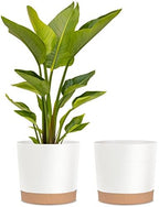 Plant Pots for Indoor Plants, 2 Pack 12 Inch Pots for Plants (12” White) by kubvici