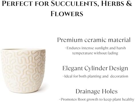 Ceramic Planter Pot with Drainage Hole, Modern Textured Indoor Plant Pot, Decorative Cream Ceramic Planter for Succulents, Herbs & Small Plants, Minimalist Stoneware Flower Pot for Home Decor Set of 2 - Image 3