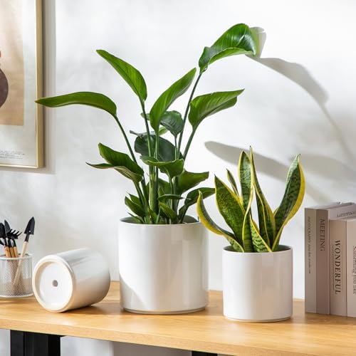 vancasso 8 Inch Ceramic Pot for Plants, Round Outdoor Indoor Planter Pots with Drainage Holes, White - Image 5