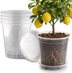 BTPLASTIK 3.5 Gallon Clear Nursery Pots with Saucers 5P, 12 Inch Round Plastic Plant Pots with Drainage Holes by BTPLASTIK