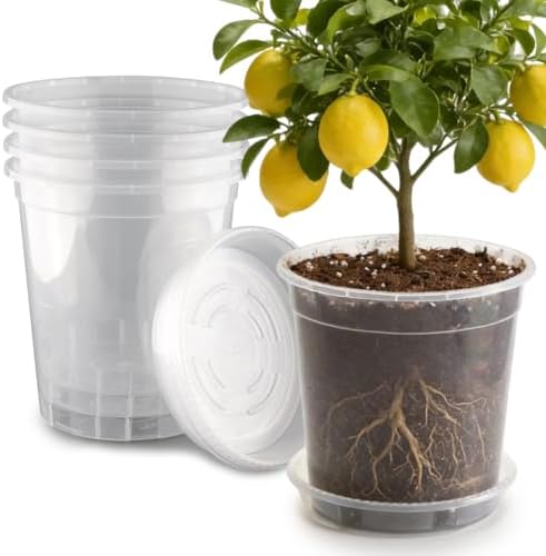 BTPLASTIK 3.5 Gallon Clear Nursery Pots with Saucers 5P, 12 Inch Round Plastic Plant Pots with Drainage Holes by BTPLASTIK