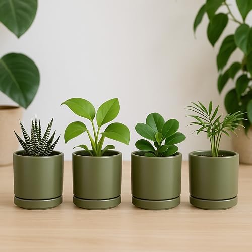 D'vine Dev 4-Pack Ceramic Pots with Saucers, Olive, 3.5 in, 94-X-A-0 - Image 6