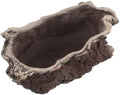 Vintage Cement Planter Pot with Tree Root Shape for Succulents by GATHINESS