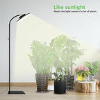 100W Grow Light for Indoor Plants, Full Spectrum LED Tall Plant Lights with Timer, Standing Floor Growing Lamp, 67" Height Adjustable for Large Many Plants - Image 2