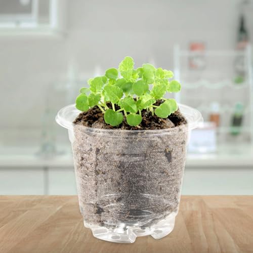 SUPVOX PET Nursery Pots 20 Sets with Lids and Drainage Holes - Image 5