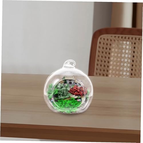 12pcs Glass Globe Terrarium for Plants and Moss Micro Landscapes - Image 7