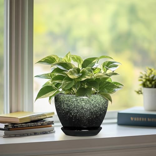 Ceramic Pots for Plants - 6 Inch Plant Pots with Drainage Hole and Saucer, Ceramic Planters for Indoor Plants, Decorative Succulent Pot, Office Decor, Gifts for Plant Lovers, Retro Green - Image 7