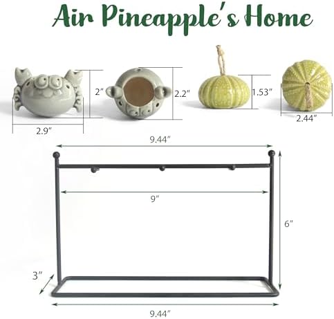 6 Ceramic Air Plant Holders & 2 Iron Racks, Hanging Tillandsia Pots - Image 2