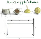 6 Ceramic Air Plant Holders & 2 Iron Racks, Hanging Tillandsia Pots - Image 2