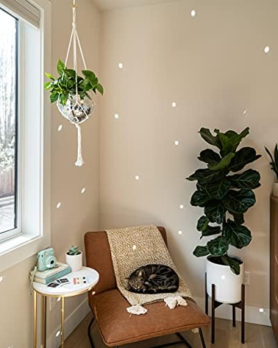 Disco Ball Planter 8" with Acrylic Base and Cotton Macrame Plant Hanger - for Home Décor, Room Décor, Boho Décor, Disco Decor - Image 5