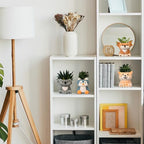Hushee 12 Sets Ceramic Succulent Pots to Paint with Drainage - Image 5