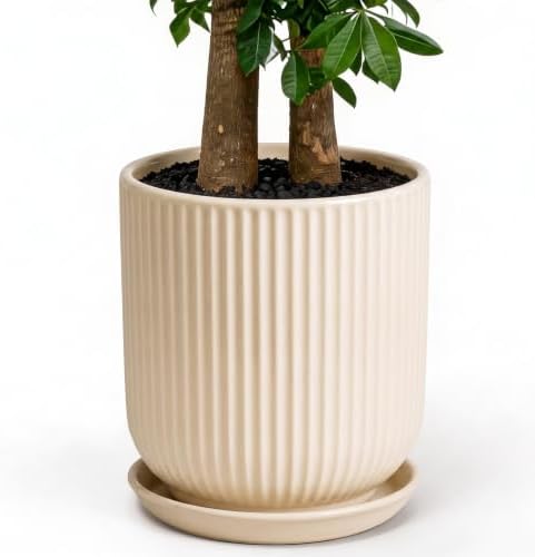 Deep Dream 12 Inch Ceramic Pots for Plants, Heavy Plant Pot for Indoor Outdoor Plants, Large Plant Pot with Drainage Hole and Saucer, Modern Tall Flower Pot, Gifts for Plant Lovers, Cream by DeepDream