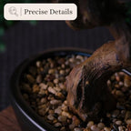 Artificial Bonsai Tree 16" Tall with Realistic Wood and Ceramic Pot, Fake Plants for Home, Bedroom and Office Desk, Japanese Decor - Image 4