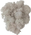 200g Artificial Moss for Crafts, Faux Decorative Plant for DIY Walls Wedding Party Table Centerpieces Home, White by LKXHarleya