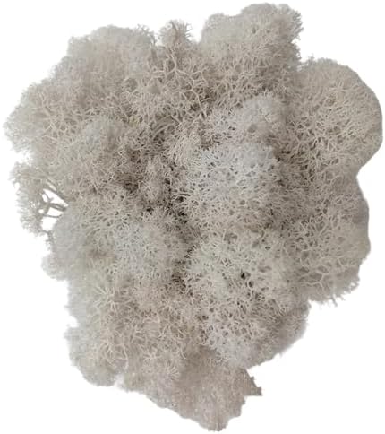 500g Artificial Moss for Crafts, Faux Decorative Plant for DIY Walls Wedding Party Table Centerpieces Home, White by LKXHarleya