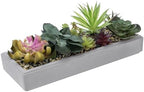 MyGift 15 Inch Assorted Artificial Succulent Arrangement Gray Clay Tray by MyGiftHome