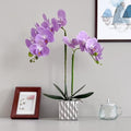LISU Artificial Orchids, Silver Vases, Home Decoration Flower Arrangements,Purple Orchids Fake Flowers in Vases. by Unknown