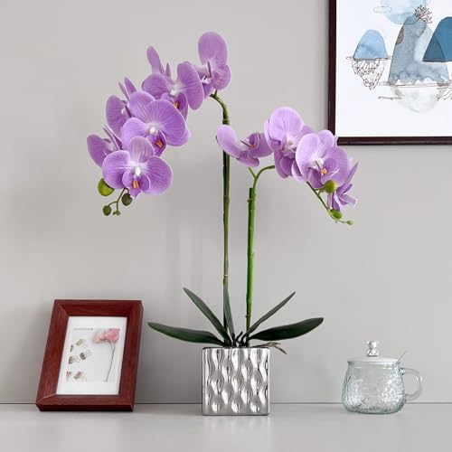 LISU Artificial Orchids, Silver Vases, Home Decoration Flower Arrangements,Purple Orchids Fake Flowers in Vases. by Unknown