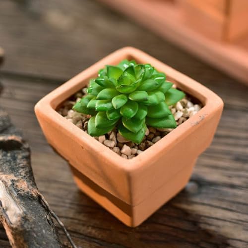 GANAZONO 5pcs Small Terracotta Pots Square Clay Pots Ceramic Flower with Drainage Holes Cactus Nursery Planter Succulent Terracotta Plant for Outdoor Indoor - Image 6