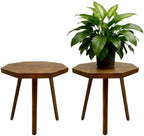 amzwkt 2 Pack Plant Stand for Indoor, 12x12in Large Octagon Wooden Plant Stand, Mid Century Modern Boho Stool for 5-15 Inch Pots, Sturdy Planter Stands by amzwkt