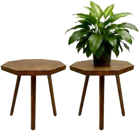 amzwkt 2 Pack Plant Stand for Indoor, 12x12in Large Octagon Wooden Plant Stand, Mid Century Modern Boho Stool for 5-15 Inch Pots, Sturdy Planter Stands by amzwkt