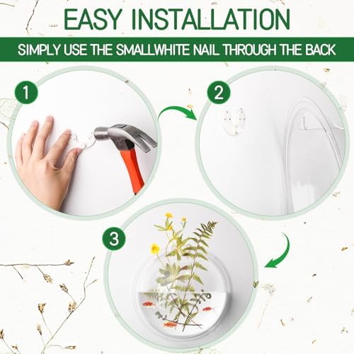 DoubleFill 4 Pcs Wall Fish Tank wall Aquarium Hanging Fish Bowls 9in 6in Acrylic Fish Bubble Ecosphere Decor Fish Bubble Hanging Fish Bowl Clear Vase Flower Plant Pot - Image 3