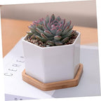 BESPORTBLE White Hexagonal Ceramic Succulent Pots, 2 Sets with Bamboo Tray - Image 3