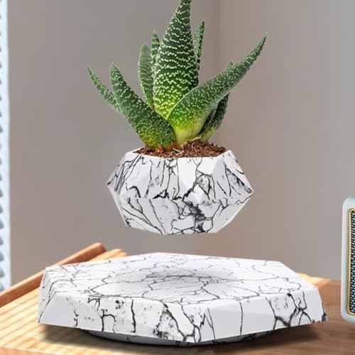 MOOCCI Floating Plant Pot, Levitating Plant Pot for Succulents - Image 6
