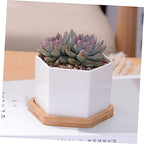 Mikikit White Ceramic Hexagonal Succulent Pots 2 Sets with Bamboo Tray - Image 7