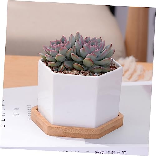 Mikikit White Ceramic Hexagonal Succulent Pots 2 Sets with Bamboo Tray - Image 7