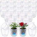 Self Watering Plant Pots, 3.5'', Transparent, 36 Pcs by Ferrochef