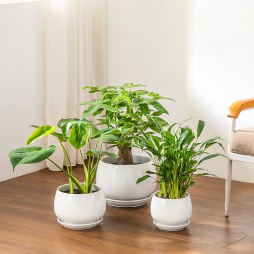 vancasso 3-Pack Ceramic Plant Pots, 7.3/9.6/11.6 Inch Indoor Planters with Saucers & Drainage Hole Planter pots for Indoor Plants and Flower, White - Image 4