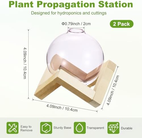 M METERXITY 2 Pack Glass Planter Terrarium with Wooden Stand, Desktop Plant Propagation Station Bulb Vase for Hydroponic Plants Propagation/Home Garden Decor/Plant Lover [Pink] - Image 3