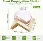 M METERXITY 2 Pack Glass Planter Terrarium with Wooden Stand, Desktop Plant Propagation Station Bulb Vase for Hydroponic Plants Propagation/Home Garden Decor/Plant Lover [Pink] - Image 3
