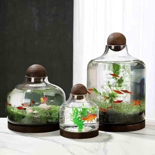 Ecological Fish Bottle Magical Glass Aquarium Micro Ecosphere Transparent Fish Tank Fish Bowel Ecological Teaching for Kids Students, D - Image 3