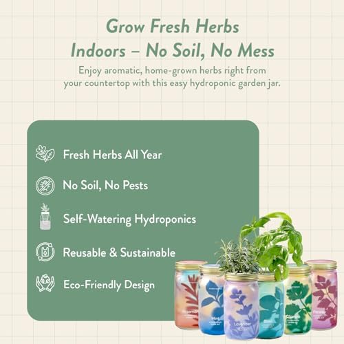 Modern Sprout Mason Jar Herb Garden Kit Indoor - Image 2