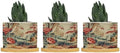 Antique Chinoiserie Ceramic Planters Coral Peony Chic Asian Pots for Plants with Drainage Holes and Saucers Pot for Home Office Desk Garden by BRUYU5SE