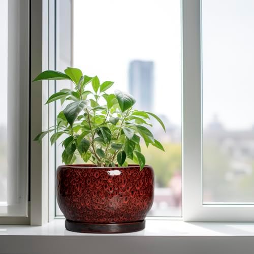 SQOWL Ceramic Flower Pots - 10 Inch Plant Pot Indoor, Ceramic Planter with Drainage Hole and Saucer, Round Decorative Large Planter Outdoor, Home Decor Living Room, Gifts for Plant Lovers, Red - Image 4