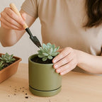 D'vine Dev 4-Pack Ceramic Pots with Saucers, Olive, 3.5 in, 94-X-A-0 - Image 7