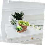 Vintage Driftwood Pattern Wood Planter Pot for Succulents, Cement Brown - Image 6