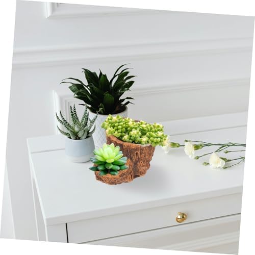Vintage Driftwood Pattern Wood Planter Pot for Succulents, Cement Brown - Image 6