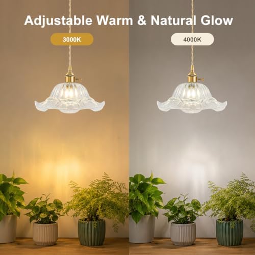 Hanging Grow Lights for Indoor Plants, 12W Full Spectrum 98+ CRI Grow Lamp - Image 6