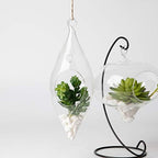 WGV Glass Hanging Plant Terrarium Bulk, Width 3", Height 9", Droplet DIY Succulent Air Planter Clear Tea Light Votive Candle Holder for Event Home Garden Outdoor Decor, 6 Pieces - Image 7