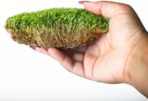 SuperMoss (25120) Mood Moss – Natural Moss for Home Decor, Terrariums, Floral Arrangements, and Craft Projects, 200 cu in, Preserved - Image 4