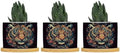 Chinoiserie Tiger Ceramic Planter Green and Turquoise Tiger Stripe Pots for Plants with Drainage Holes and Saucers Pot for Outdoor Garden Home Plant by BRUYU5SE