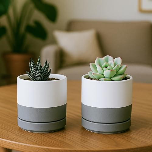 D'vine Dev 4-Pack Ceramic Pots with Saucers, White/Grey, 3.5 in, 94-X-A-6 - Image 6