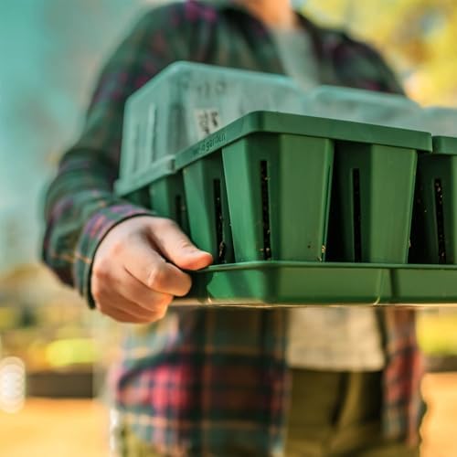 Vego garden Seedling Suite Products, 4 Pack Jumbo Seedling Trays with Seedling Tray Lids and 10" x 10" Bottom Watering Trays - Image 7