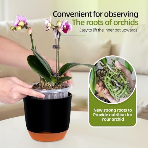 QCQHDU 5.7Inch Orchid Pots with Holes for Repotting, Double-Layer Plastic Self Watering Flower Pots for Indoor Plants with Drainage Holes, Clear Orchid Pot Match Decorative Orchid Container, 3 Packs - Image 3