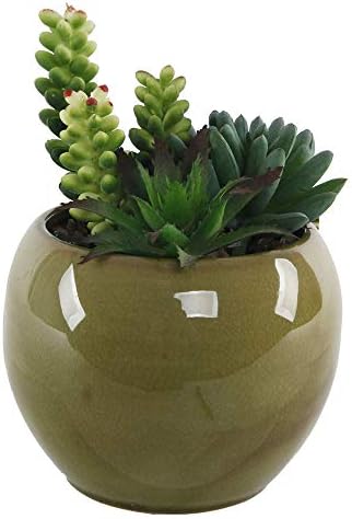 Flora Bunda Mid Century Artificial Plants Cactus 4.5" Succulents Mix in Ceramic Pot,Olive Green - Image 2